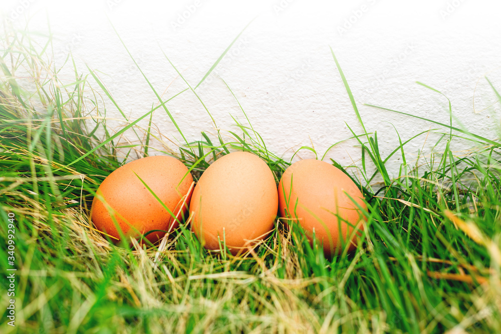 Colorful eggs on the grass Easter concept. Colorful eggs on the grass Easter concept.