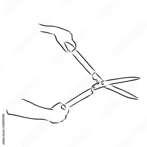 gardening shears , line style icon vector illustration design, pruning shears for bushes , scissors vector sketch illustration