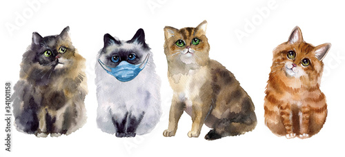 Cute watercolor cats with medical mask on the white background