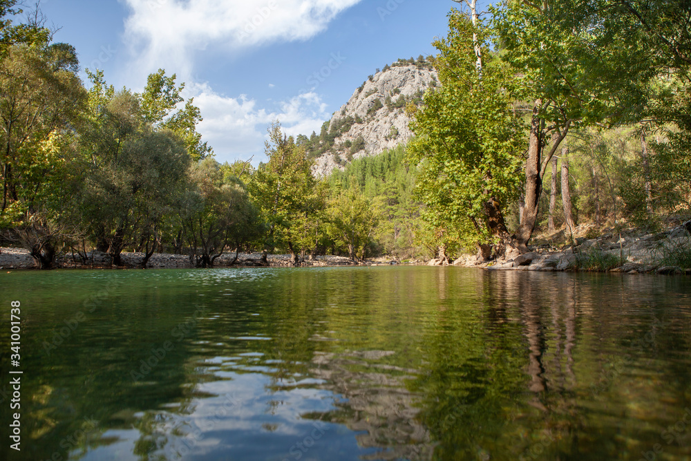 Flowing river among green trees Flowing river among green trees