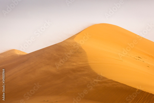 Fototapeta Naklejka Na Ścianę i Meble -  sand dunes in the sahara desert