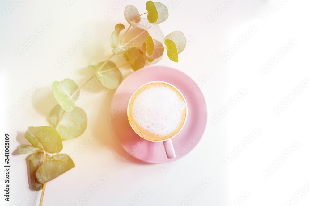 Still life with cup of cappuccino coffee and euclyptus leafs on white background. Pink design. Feminine. Minimal design. Home office, copy space
