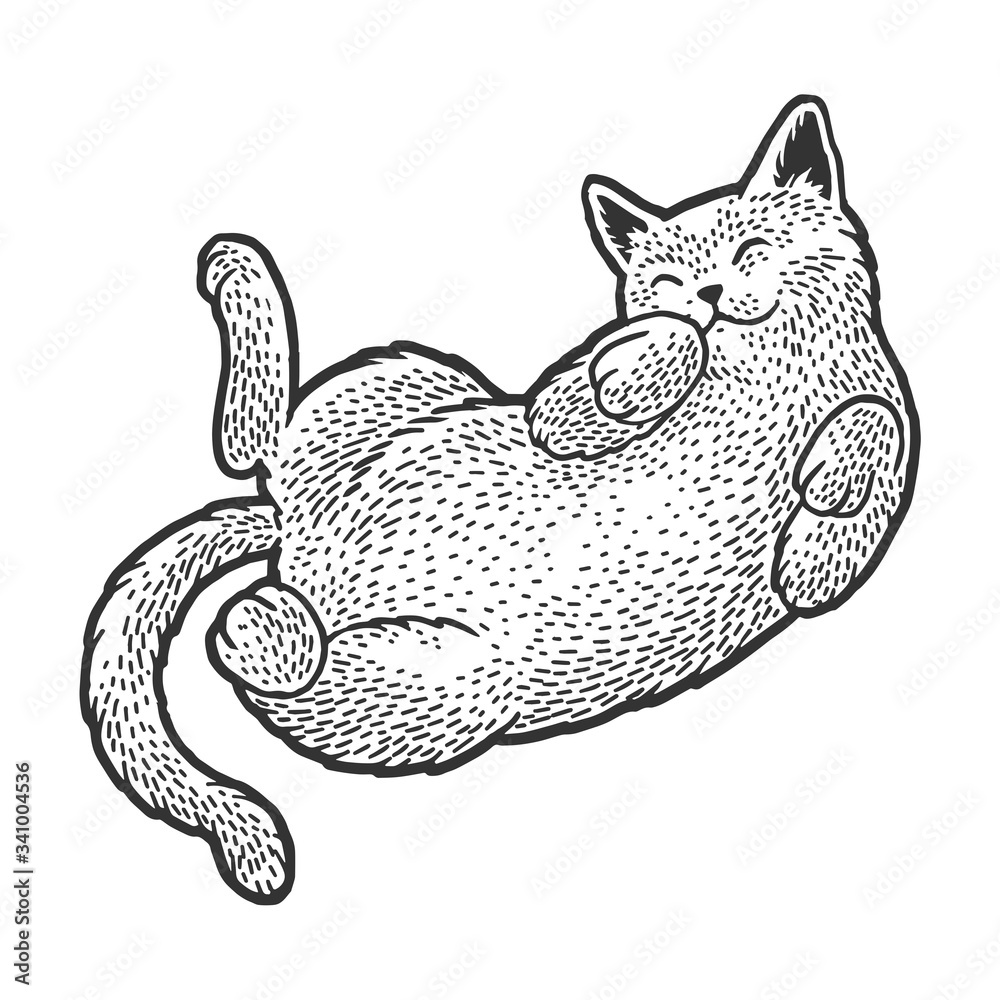 Cute cat sleeping on his back sketch engraving vector illustration. T ...