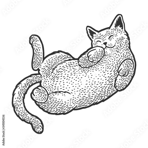 Cute cat sleeping on his back sketch engraving vector illustration. T-shirt apparel print design. Scratch board imitation. Black and white hand drawn image.