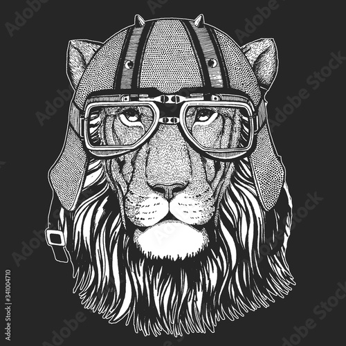 Lion head. Wild animal portrait. Vintage motorcycle leather helmet. Face of african cat.