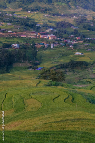 Paisaje de los arrozales verdes de Vietnam