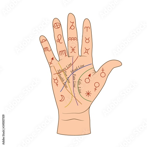 Cartoon human palmistry map on open hand vector graphic illustration. Colorful person palm with line, symbol and lettering inscription isolated on white background. Arm fortune telling