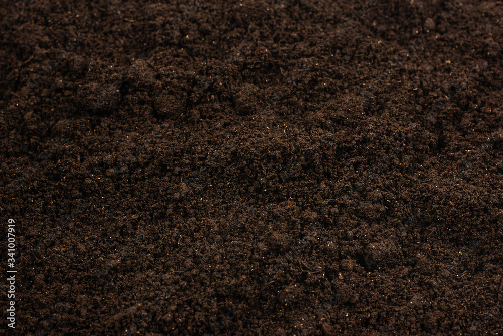 Fototapeta premium Black land for plant background.