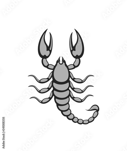 Scorpion logo. Isolated scorpion on white background © oleg7799