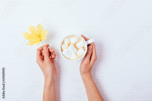 Female hands holding mug of cocoa with marshmallows