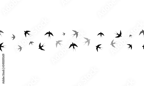 Seamless vector pattern. Swallows of different sizes, located in the middle. Vector graphics. © Andrii Artamonov