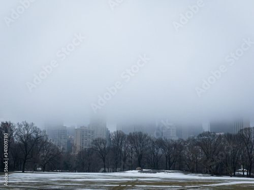 Gloomy Day in Central Park