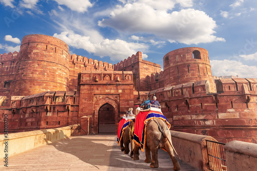 Agra Fort and elephants, view of India photo