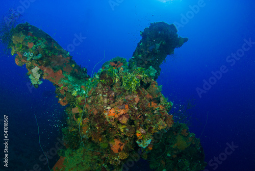 Fototapeta Naklejka Na Ścianę i Meble -  The impressive propeller of the sunken ship Heian Maru. This vessel was a second world war Japanese ship that was sunk in Chuuk Lagoon during conflict
