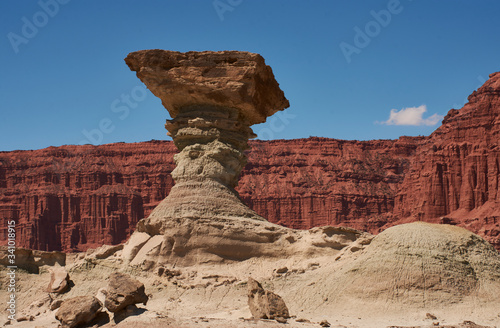 The fungus with the Talampaya formations in the background, ichigualasto provincial park