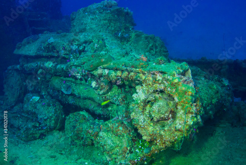 A Japanese battle tank on the sunken Nippo Maru in Chuuk Lagoon. The vessel that held this cargo was a second world war Japanese ship that was sunk during conflict