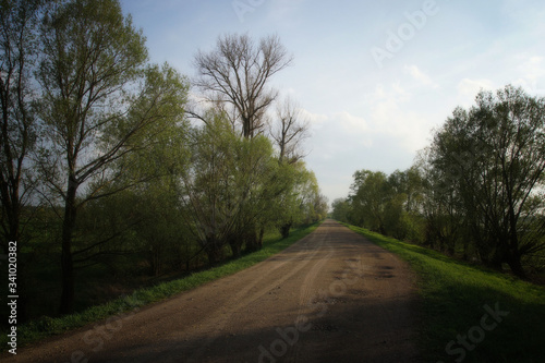 Country road, evening and spring: walk in las rays of setting su