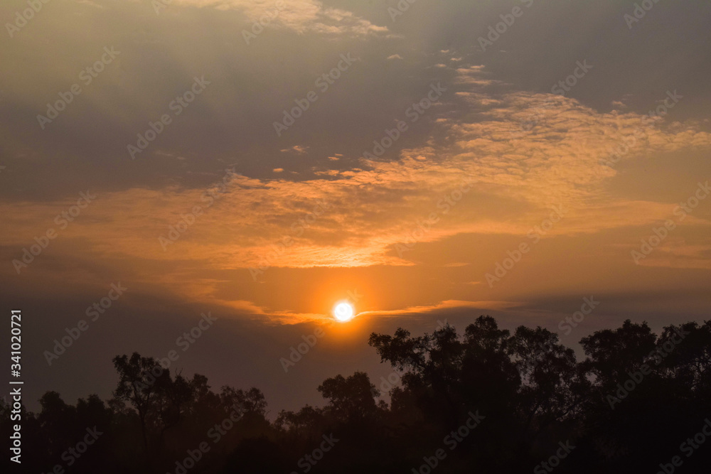 Sunrise in the morning while the sun is on top of bunch of different rural trees