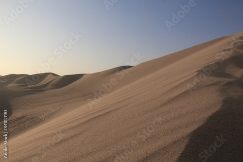 sand dunes in the sahara desert © Bernardo
