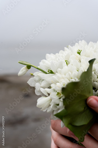 white snowdrops with green leaves in their hands, a bouquet