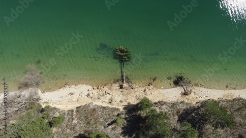 Arbre tombé dans un lac d'eau verte par l'érosion des berges, illusion d'un paysage insolite vu de drone France Verdon Lac de Sainte Croix © Octopuce Production