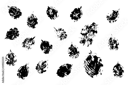 Plantain leaves life prints black and white. Basis graphics