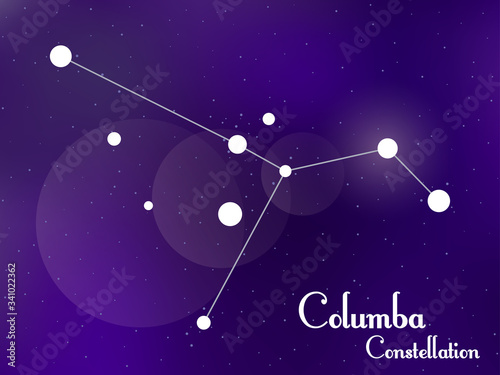 Columba constellation. Starry night sky. Cluster of stars, galaxy. Deep space. Vector illustration