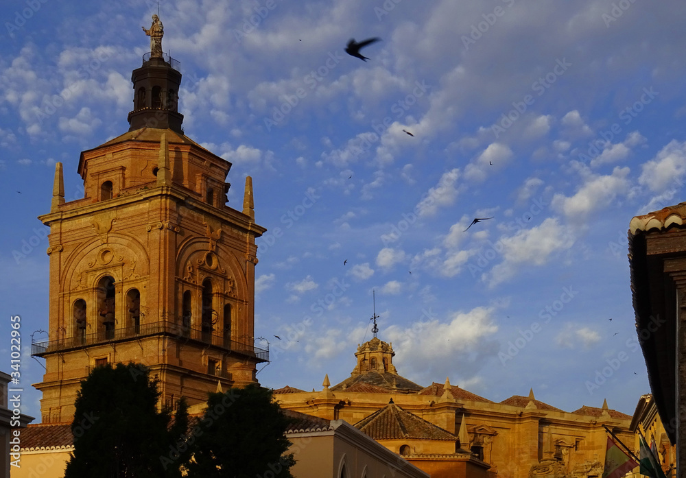 Cathedral of Guadix during the sunset. Spain.