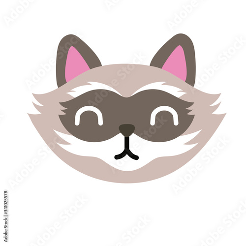 cute little raccoon flat style