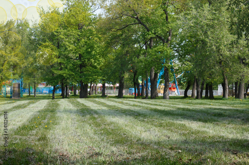 a mown field in a city Park