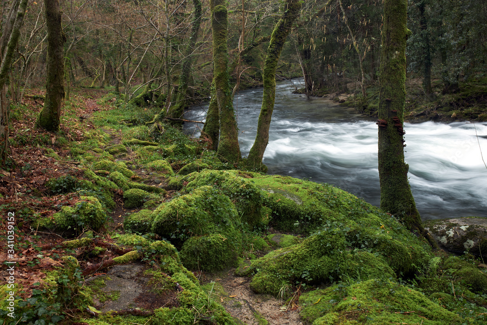 View of a section of the Umia river in Galicia, Spain.