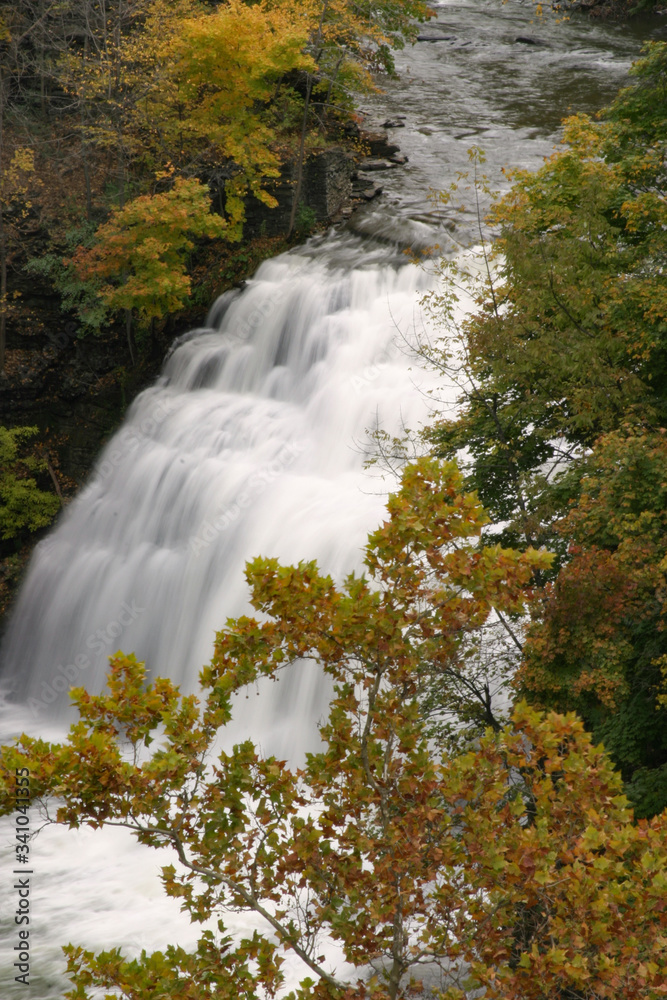 Forest Falls on Fall Creek, Ithaca, NY