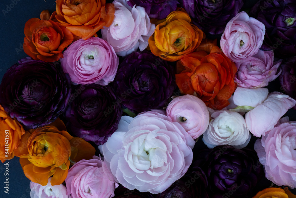Flowers flat lay composition Flowers flat lay composition