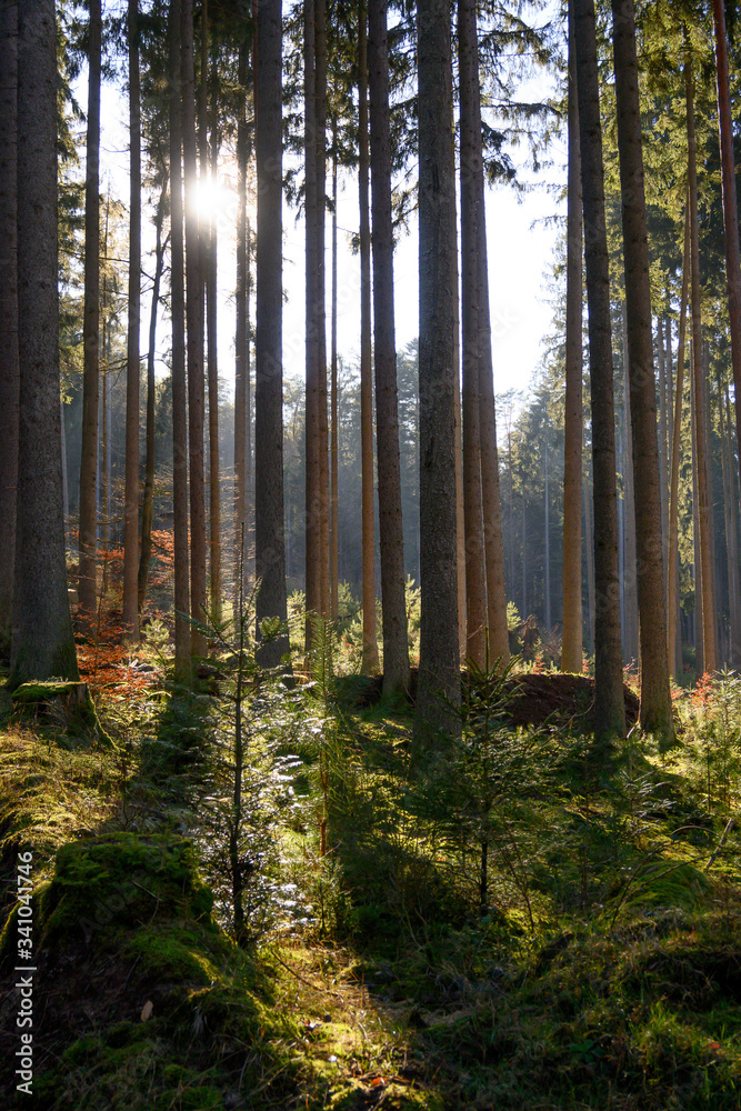 Fototapeta premium Pfälzer Wald und Donnersberg