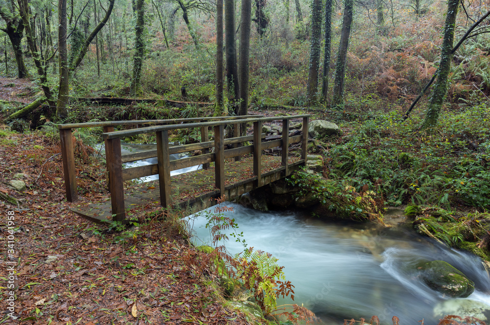 Forest path that runs parallel to the river da Fraga, in the town of Moaña, Galicia, Spain. Forest path that runs parallel to the river da Fraga, in the town of Moaña, Galicia, Spain.