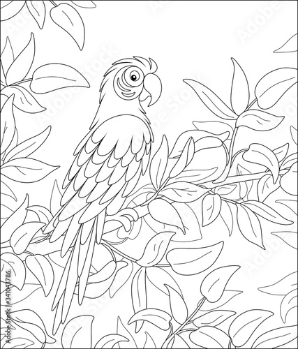 Amusing long-tailed parrot macaw with a striped plumage, perched among leaves on a tree branch in a tropical jungle, wild scenery, black and white vector cartoon illustration for a coloring book page