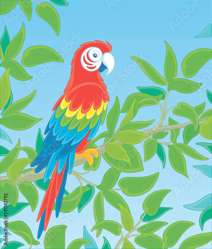 Amusing colorful parrot macaw, long-tailed and with brightly colored plumage, perched on a green tree branch in a tropical jungle, wild scenery, vector cartoon illustration