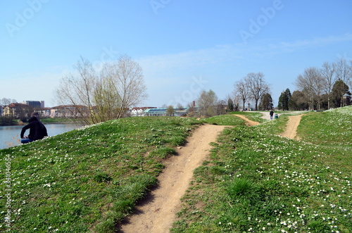 Trampelpfad im Freibuger Seepark photo