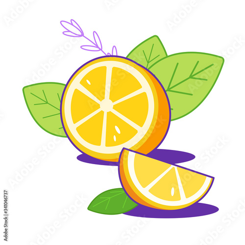Group of bright fresh lemons with leaves. Citrus, half of lemon, chopped lemon. Lemon slice. Print, web, package design