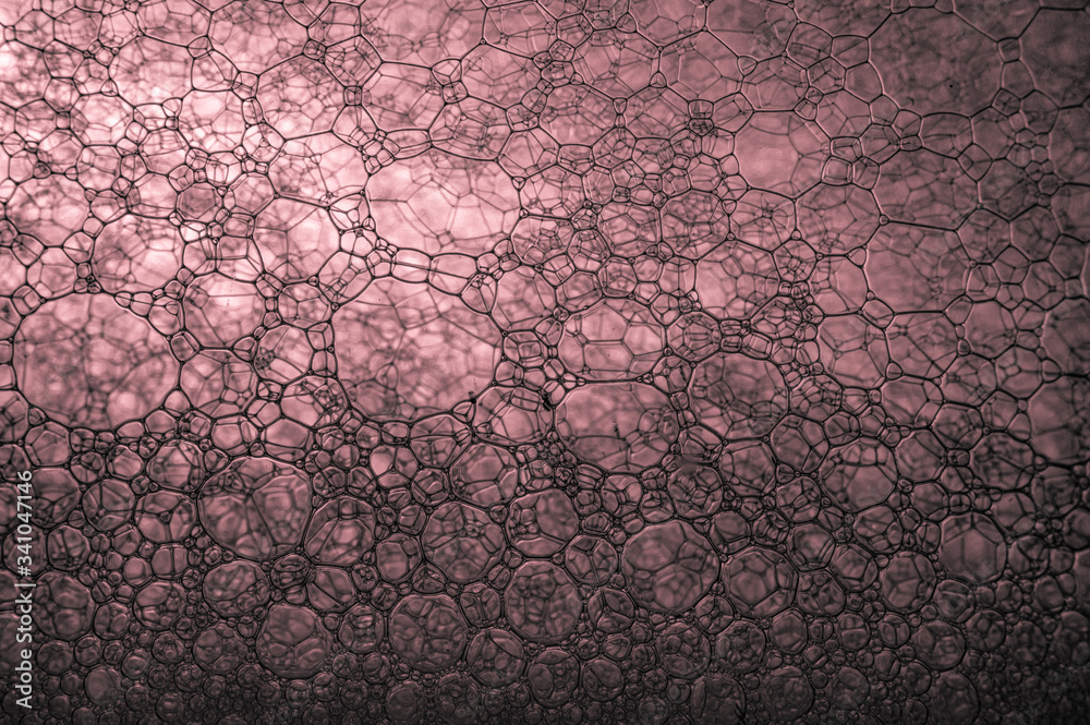 red bubbles macro red bubbles macro