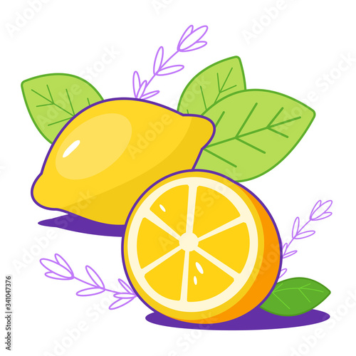 Bright fresh lemons with leaves. Citrus, half of lemon, chopped lemon. Cut lemon slice. For print, web, package design. 