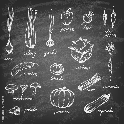 Collection of hand-drawn vegetables on chalkboard. Vector illustration.