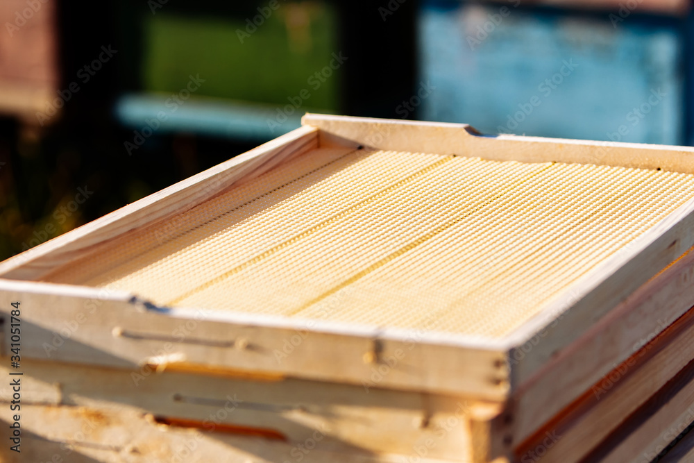 Frame for honeycomb of bees. Beeswax. Wax base for honey bee rebuilding on a white background. Honeycombs. Frame for honeycomb of bees. Beeswax. Wax base for honey bee rebuilding on a white background. Honeycombs.