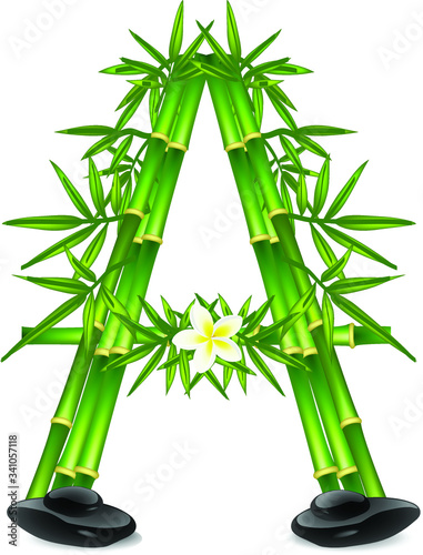 Letter A made of bamboo tree