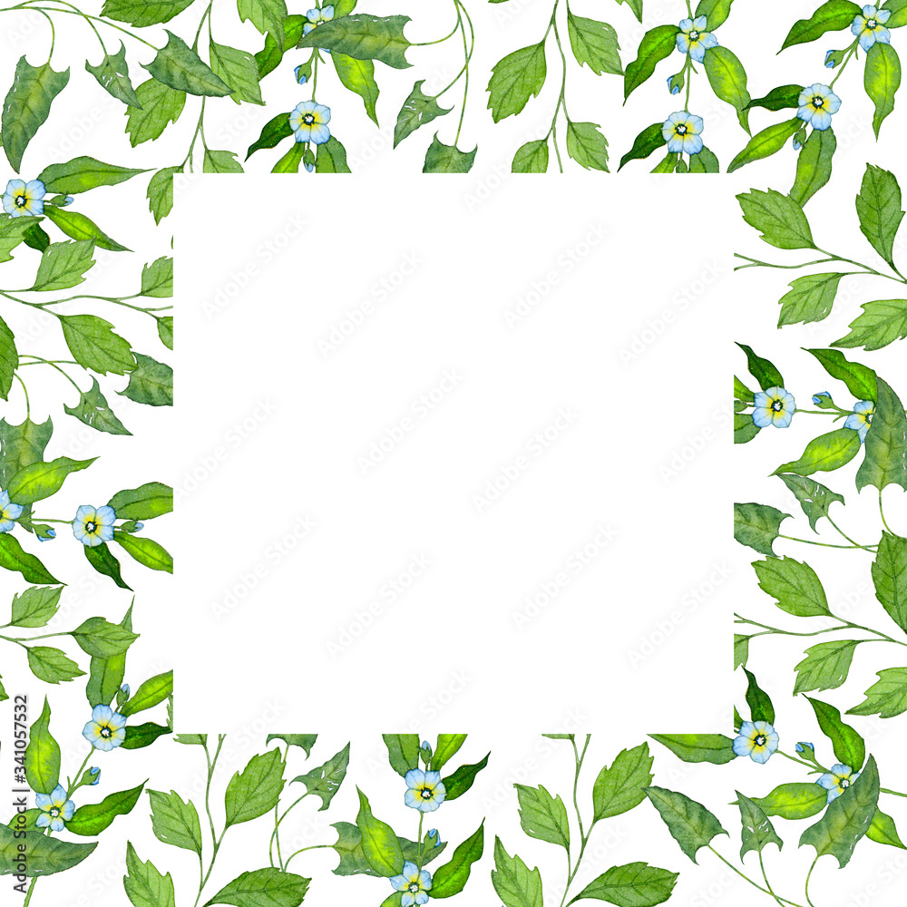 Fototapeta premium background with green leaves and branches with space for text. painted leaves on a white background isolated watercolors