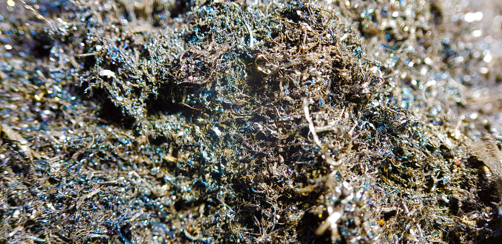 A pile of steel shavings in a metal container A pile of steel shavings in a metal container