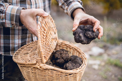 A caucasian man shows some black truffles recently recollected.