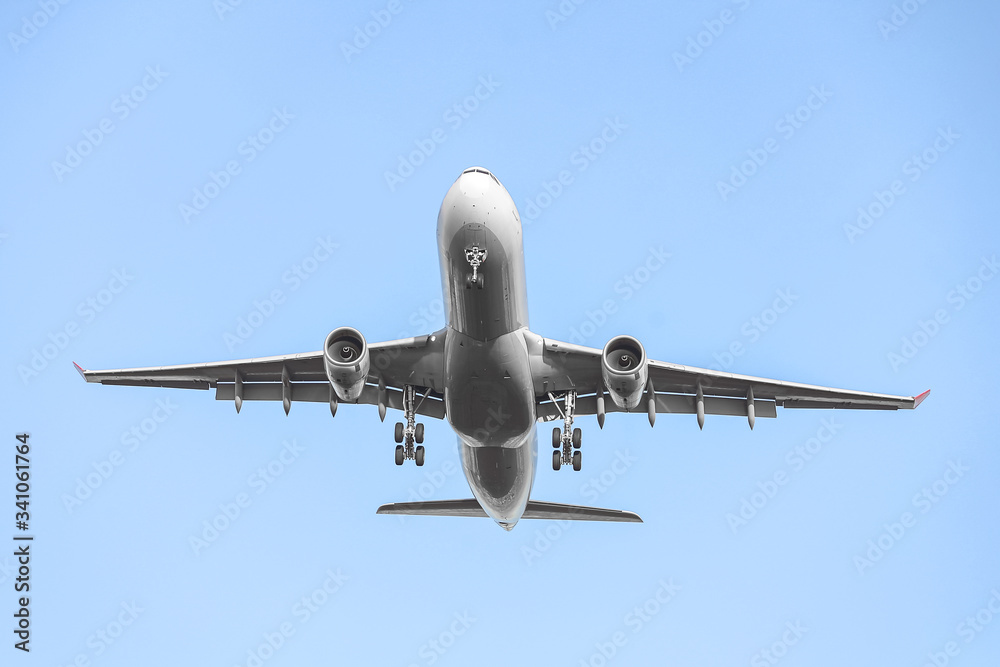 Fototapeta premium Passenger Airplane in the Sky