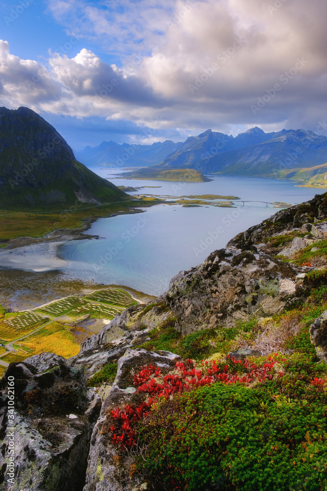 landscape with foreground from the top of the mountain, Lofoten islands, norway