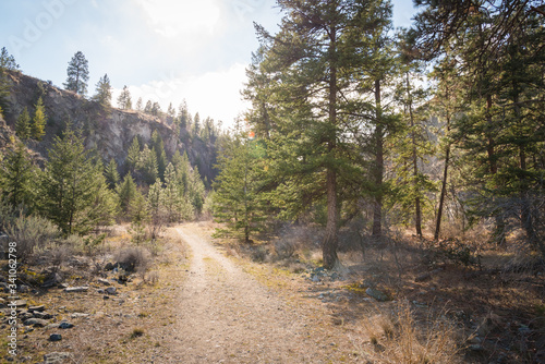 Hiking path through Okanagan Valley forest and ravine in springtime